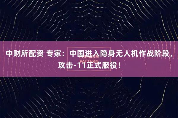 中财所配资 专家：中国进入隐身无人机作战阶段，攻击-11正式服役！