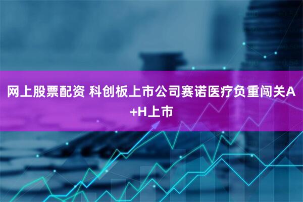 网上股票配资 科创板上市公司赛诺医疗负重闯关A+H上市
